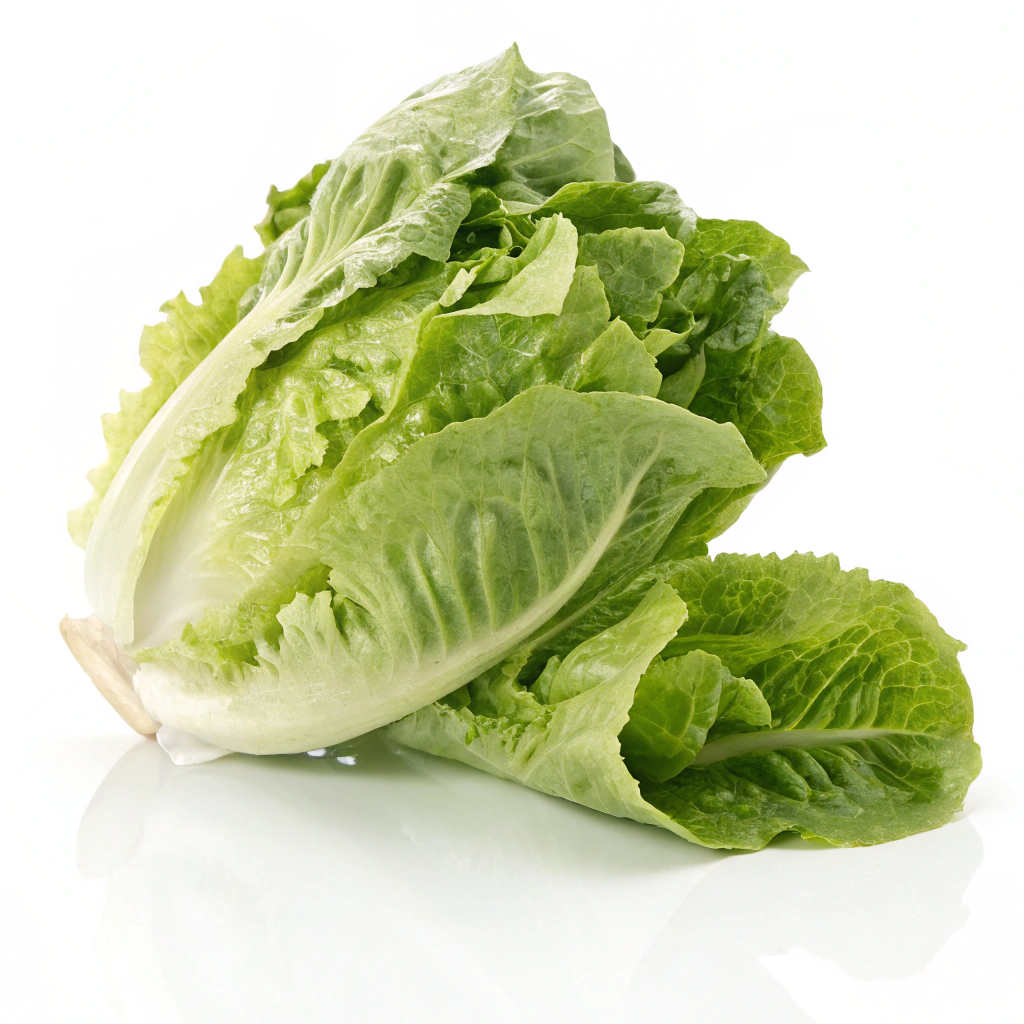 Food Image