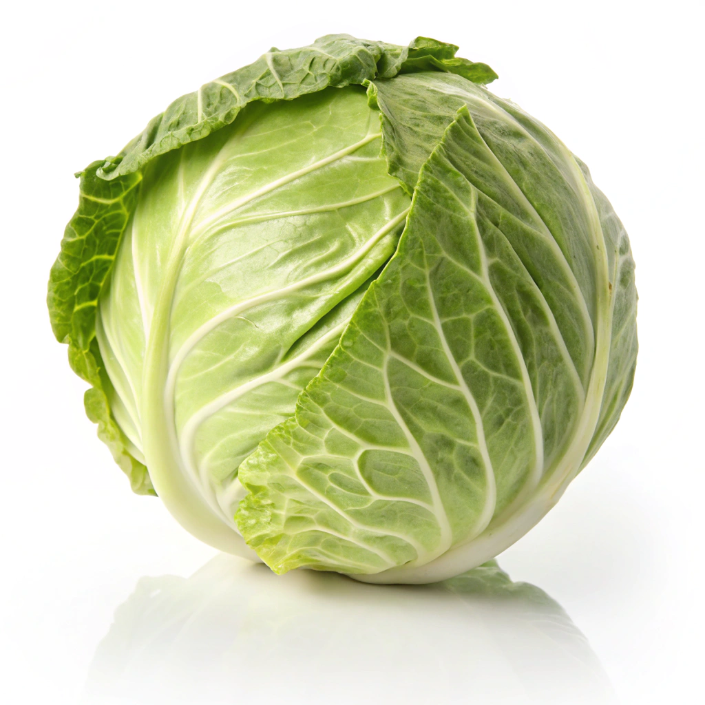 Food Image