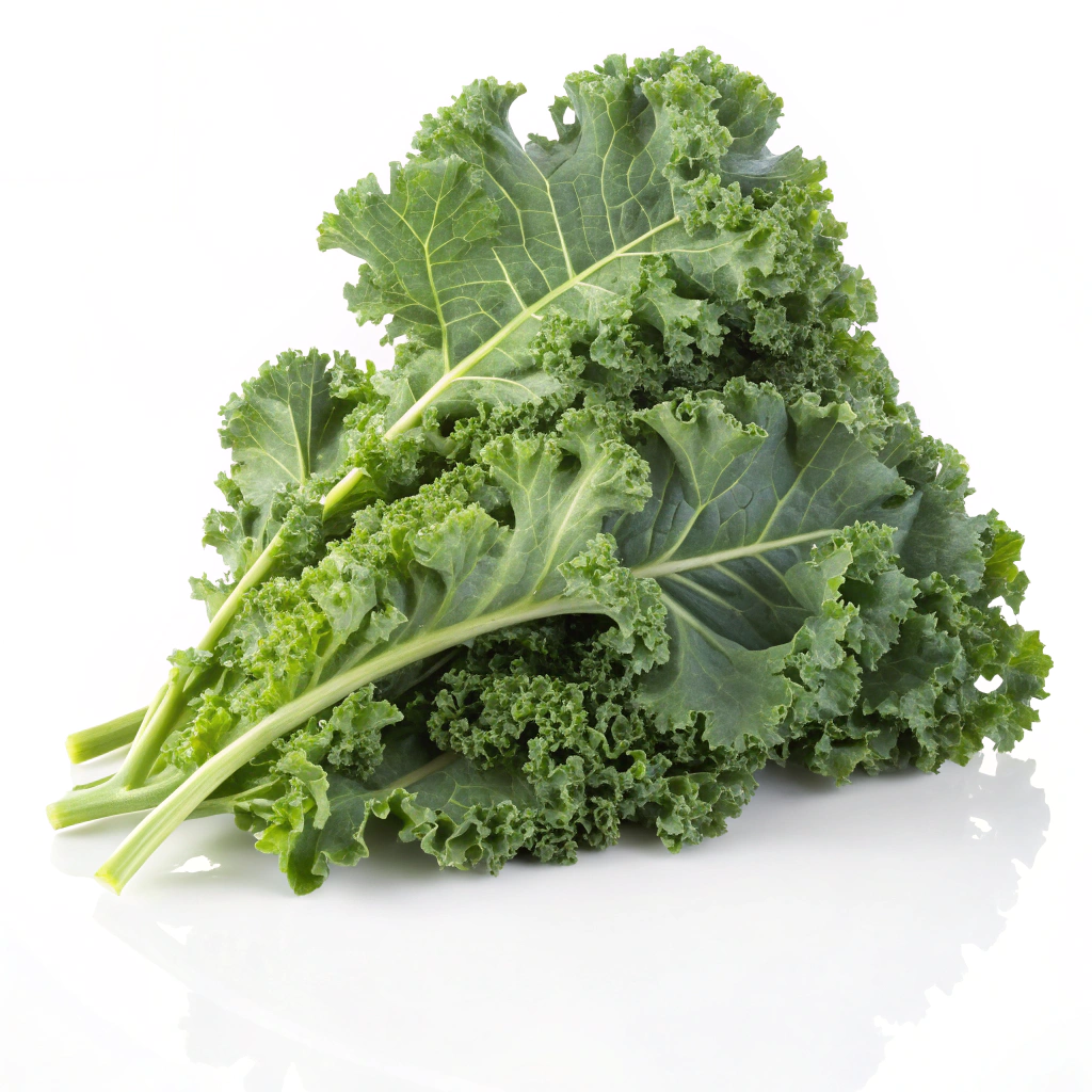 Food Image