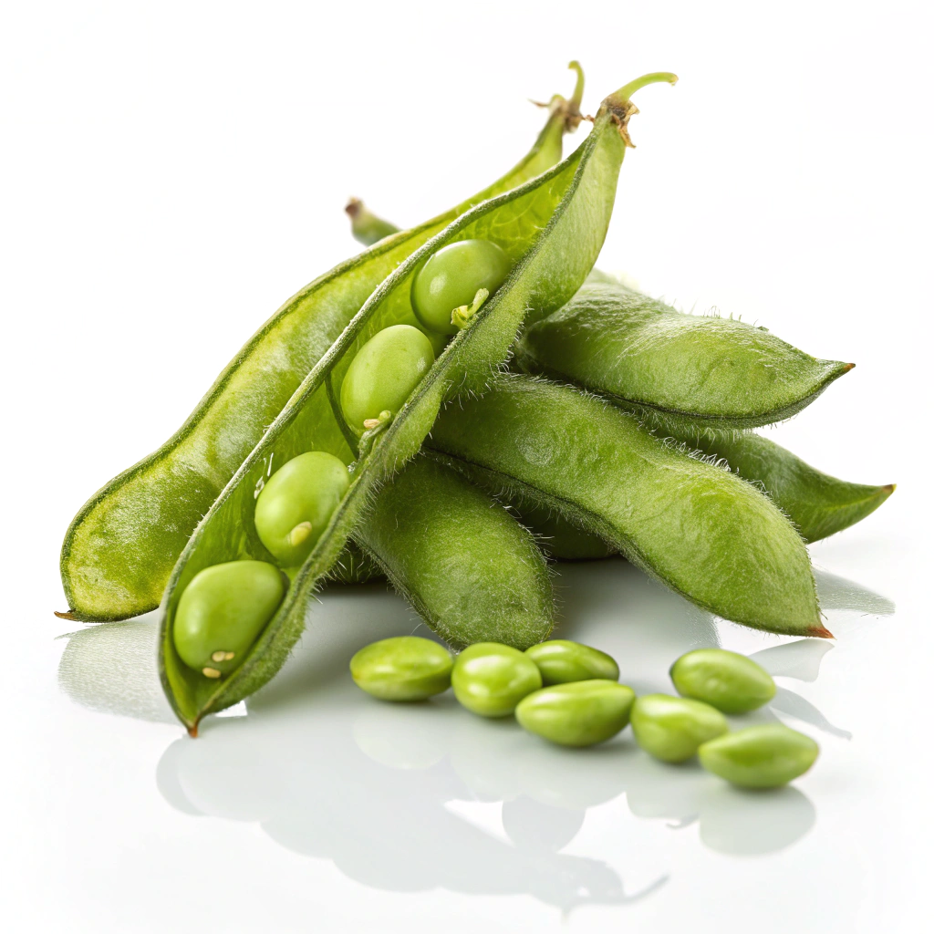 Food Image