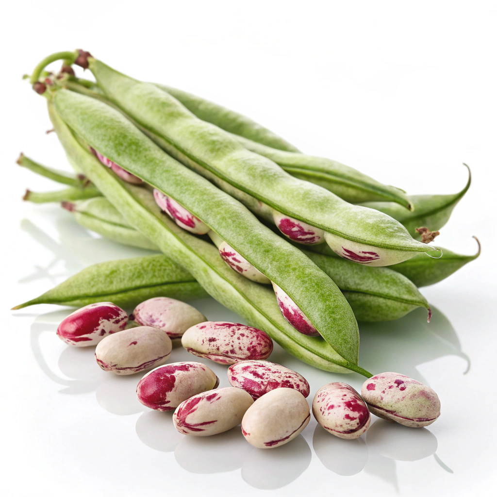 Food Image
