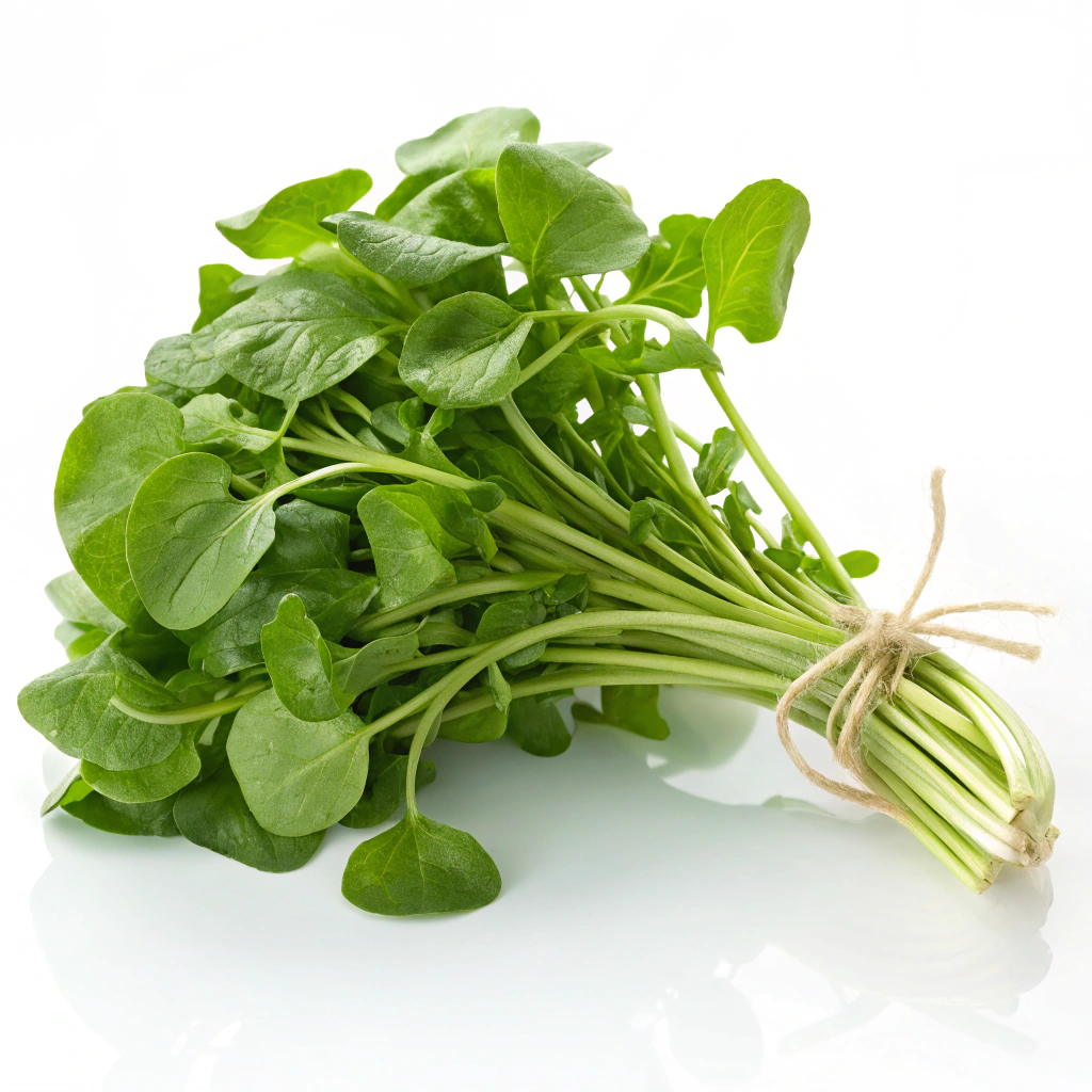 Food Image