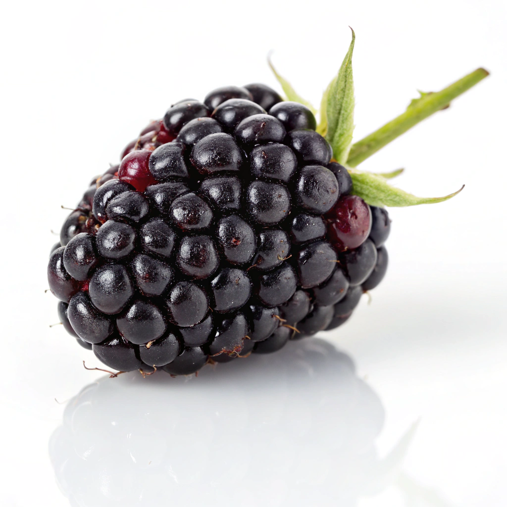 Marionberry