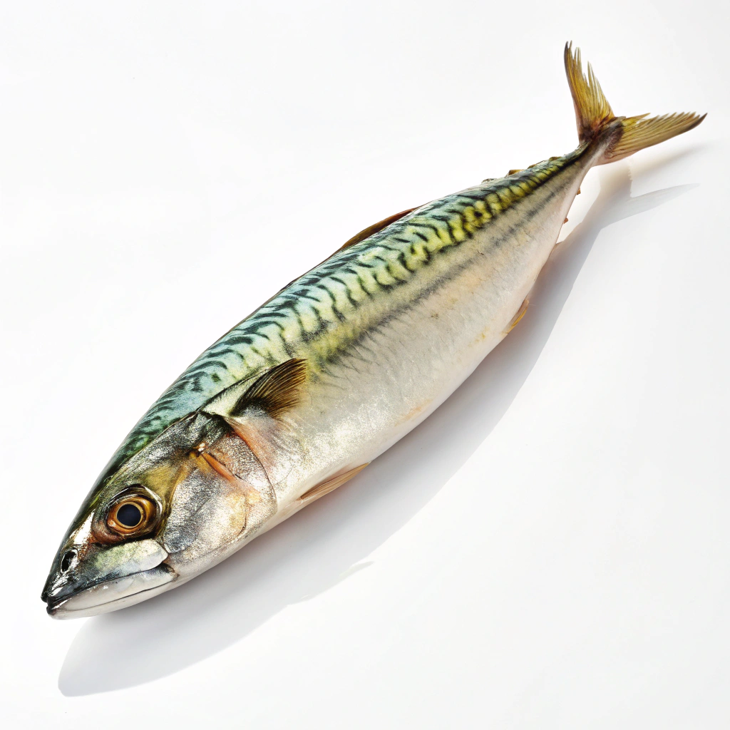 Food Image