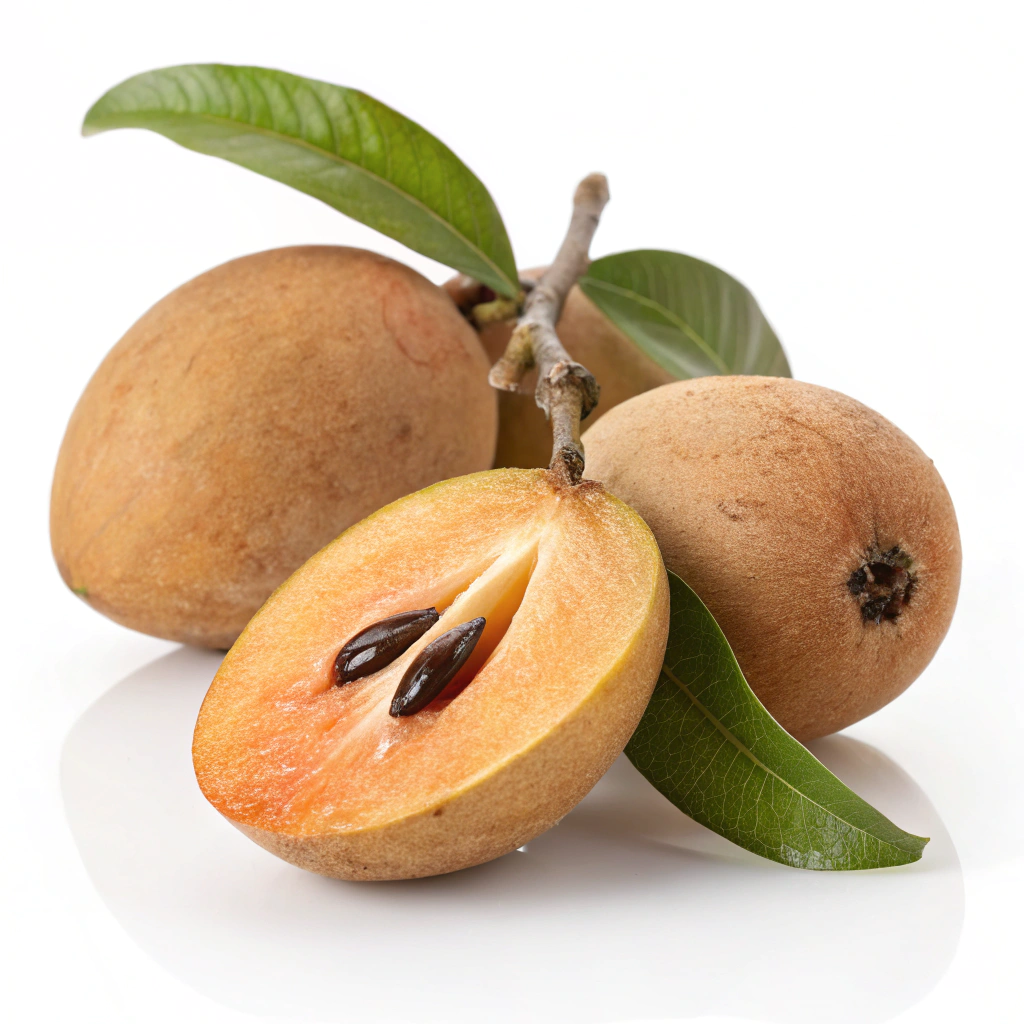 Sapodilla
