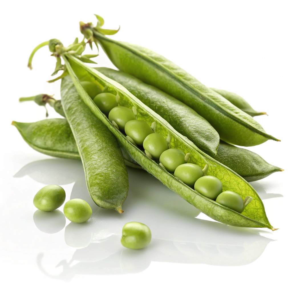 Food Image