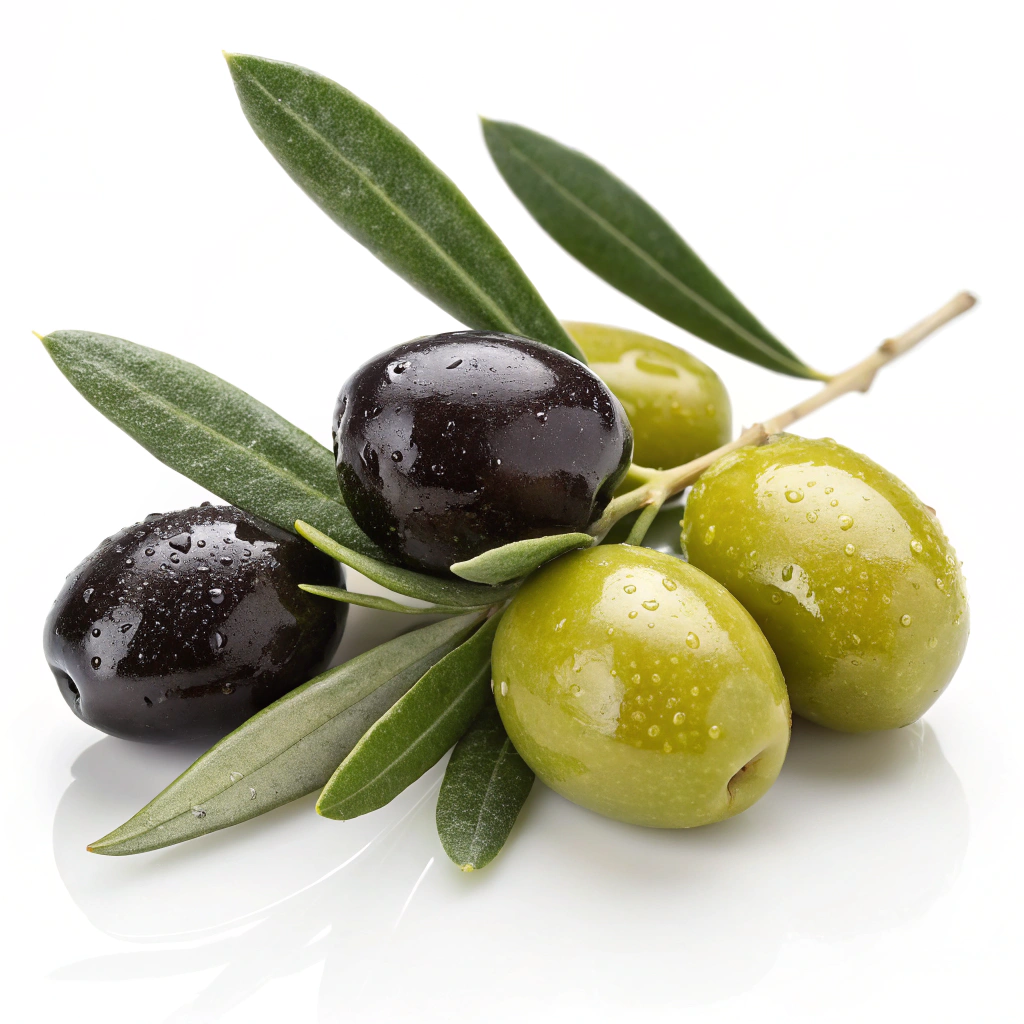 Olive (Black, Green)