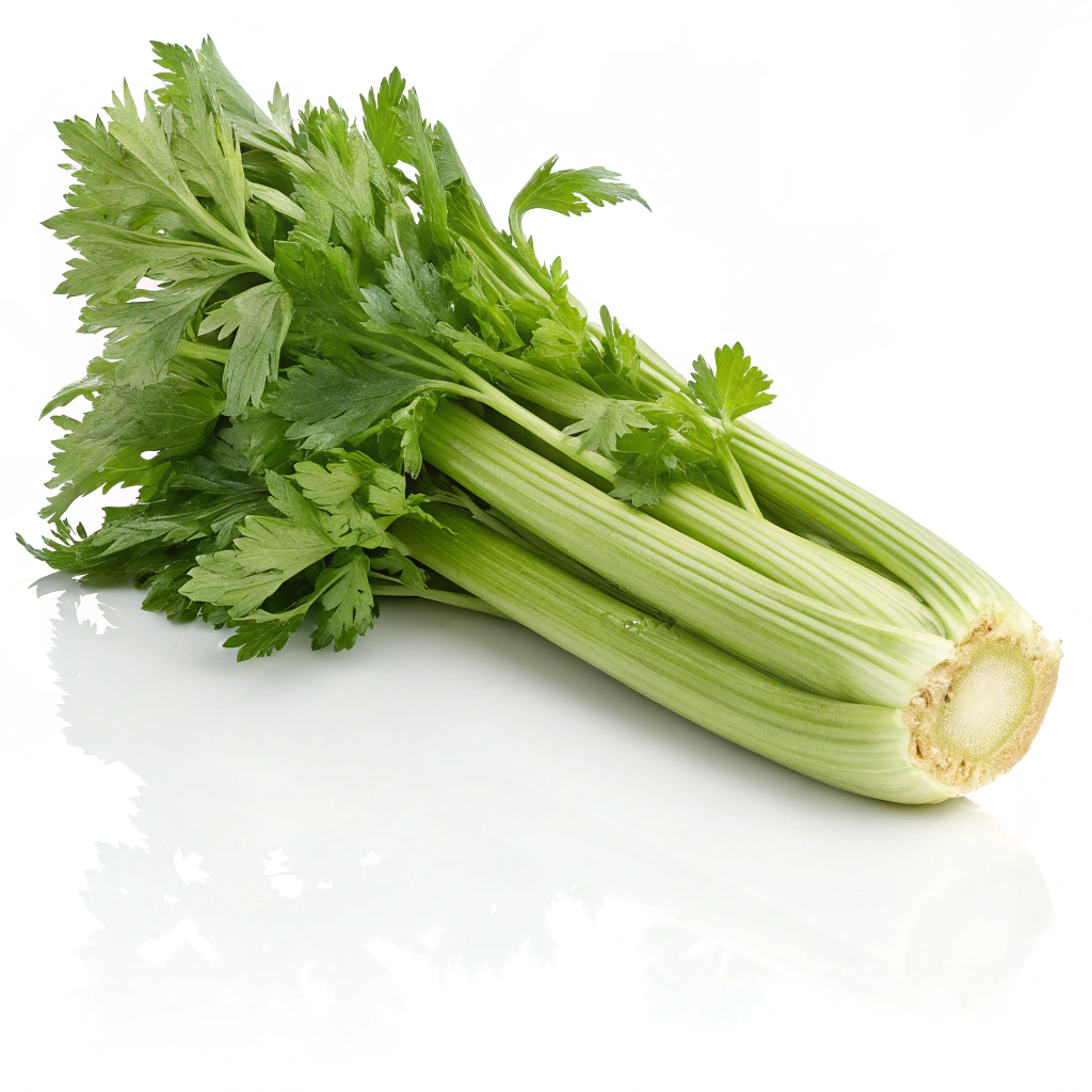 Food Image