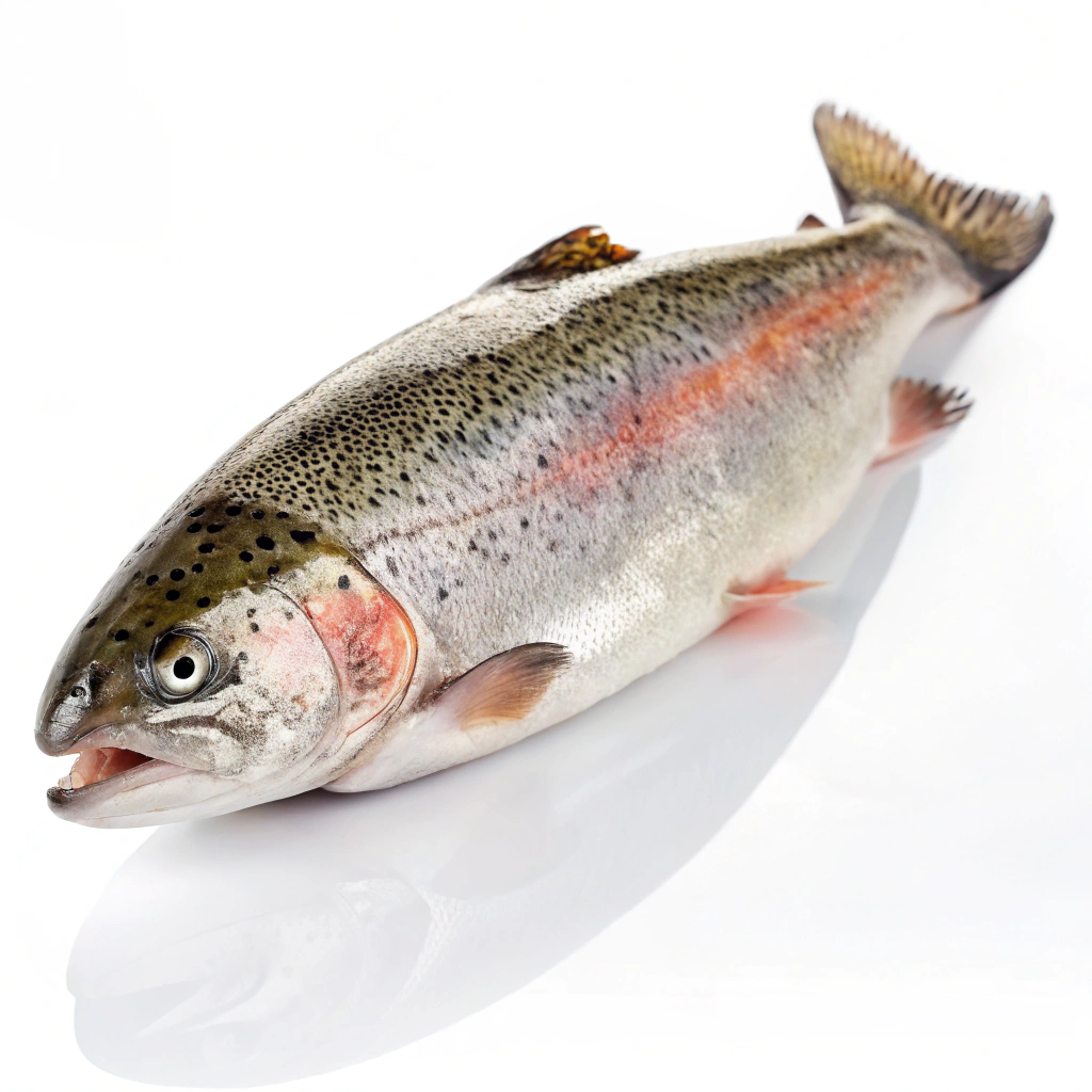 Food Image