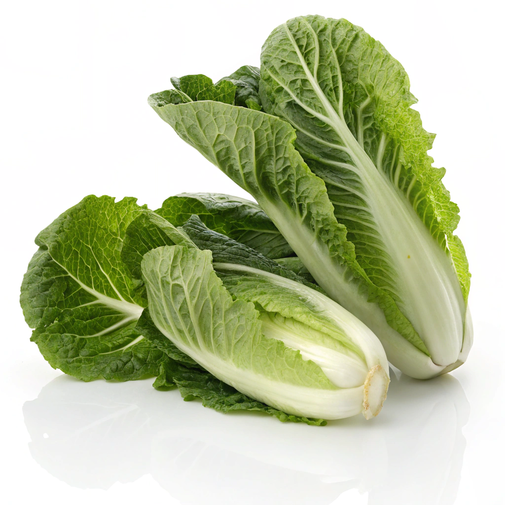 Food Image